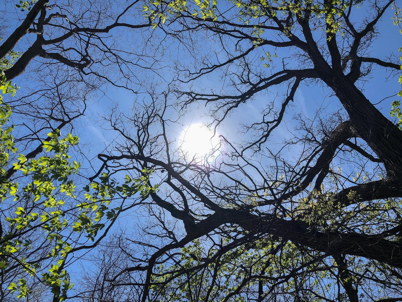 Wesleyan MetroPark
