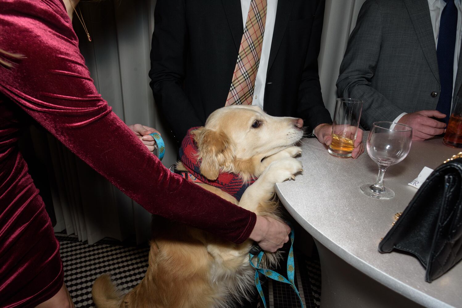 PHOTOS: Did we spot you at the Pet Afflaire Gala at the Dayton Arcade?