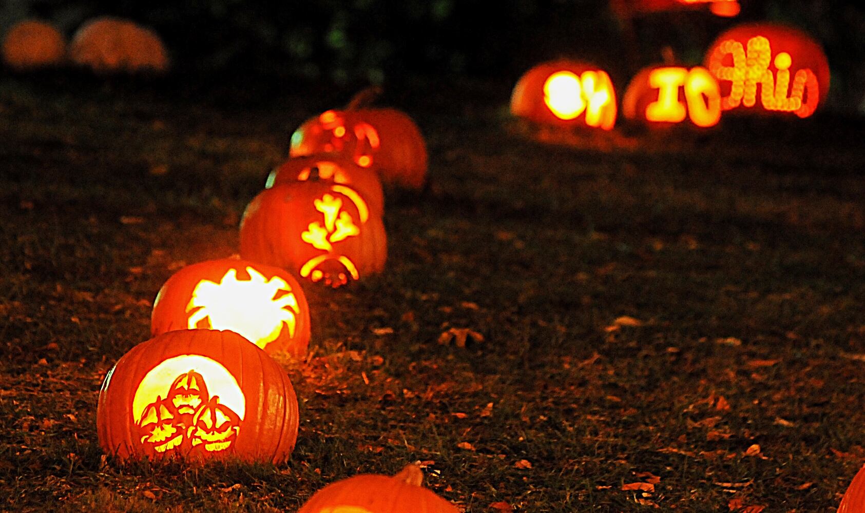 PHOTOS: The Stoddard Avenue Pumpkin Glow LIGHTS Dayton up for Halloween