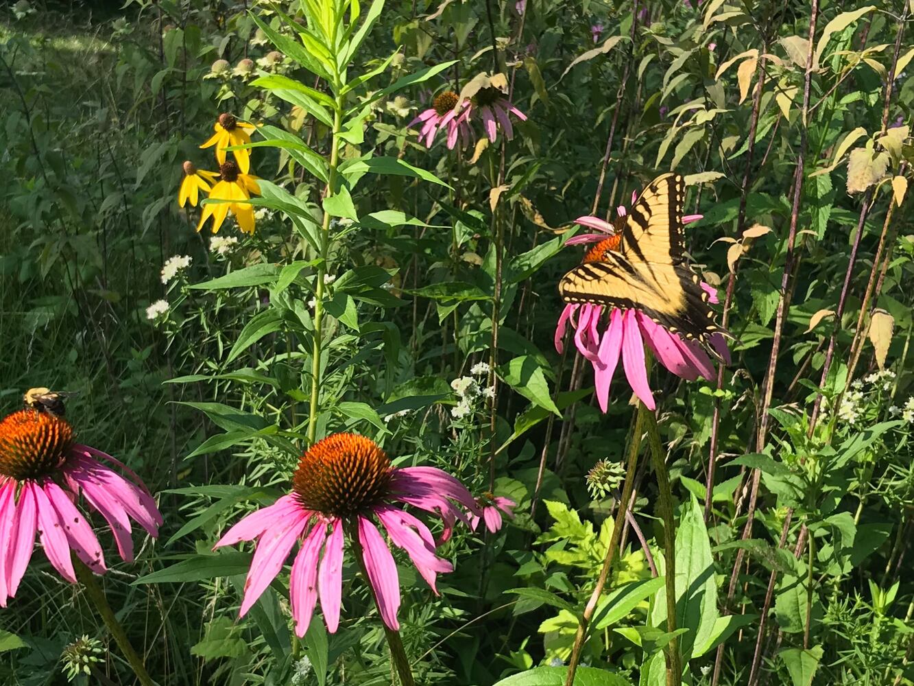 PHOTOS: This hidden park on the side of the road might be one of Dayton’s most peaceful spots