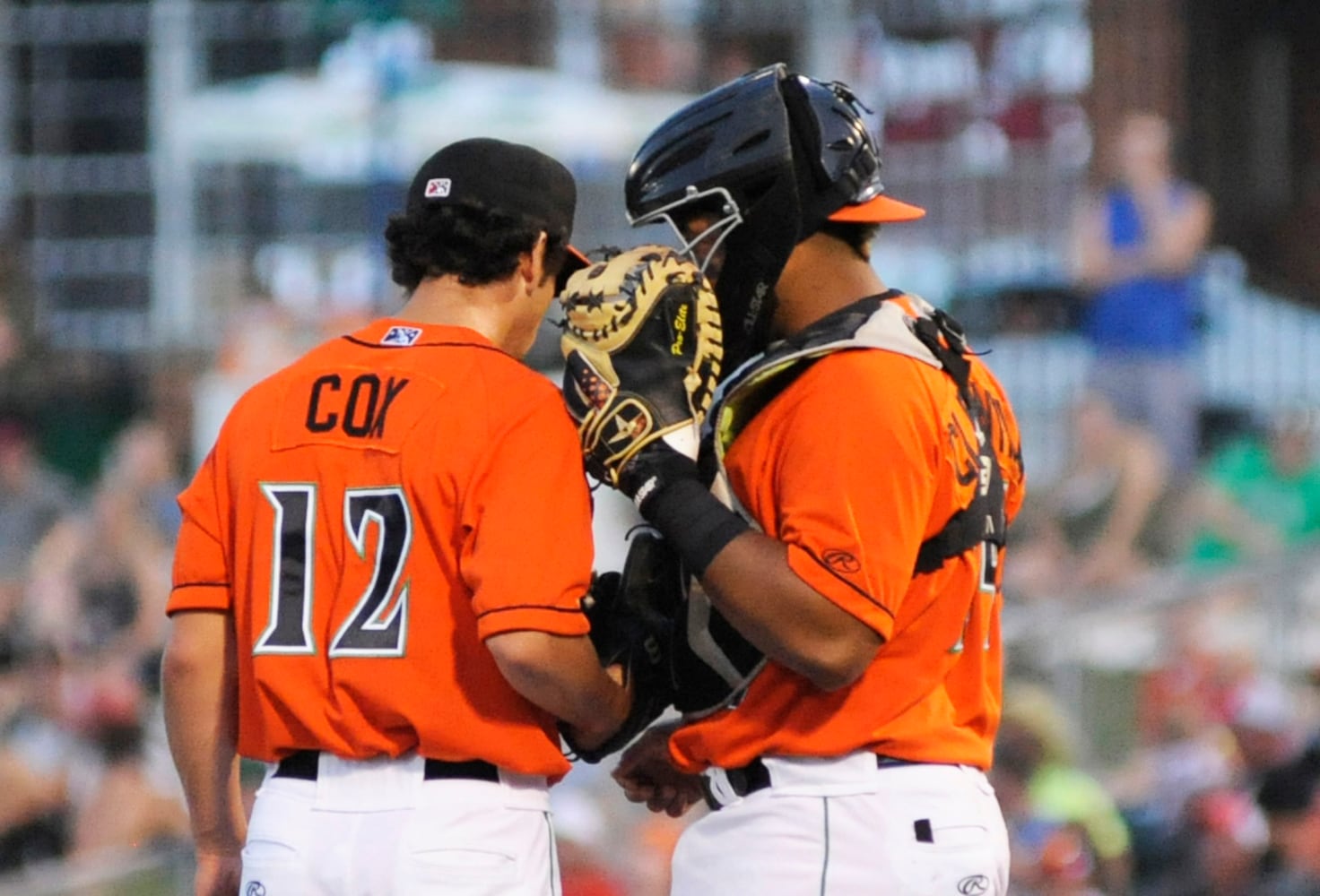 Dragons photo gallery