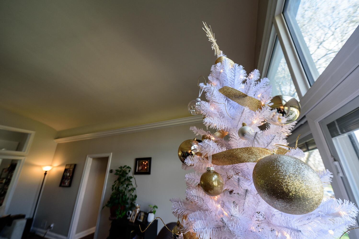 PHOTOS: The Oakwood Historical Society’s Third Annual Holiday Home Tour