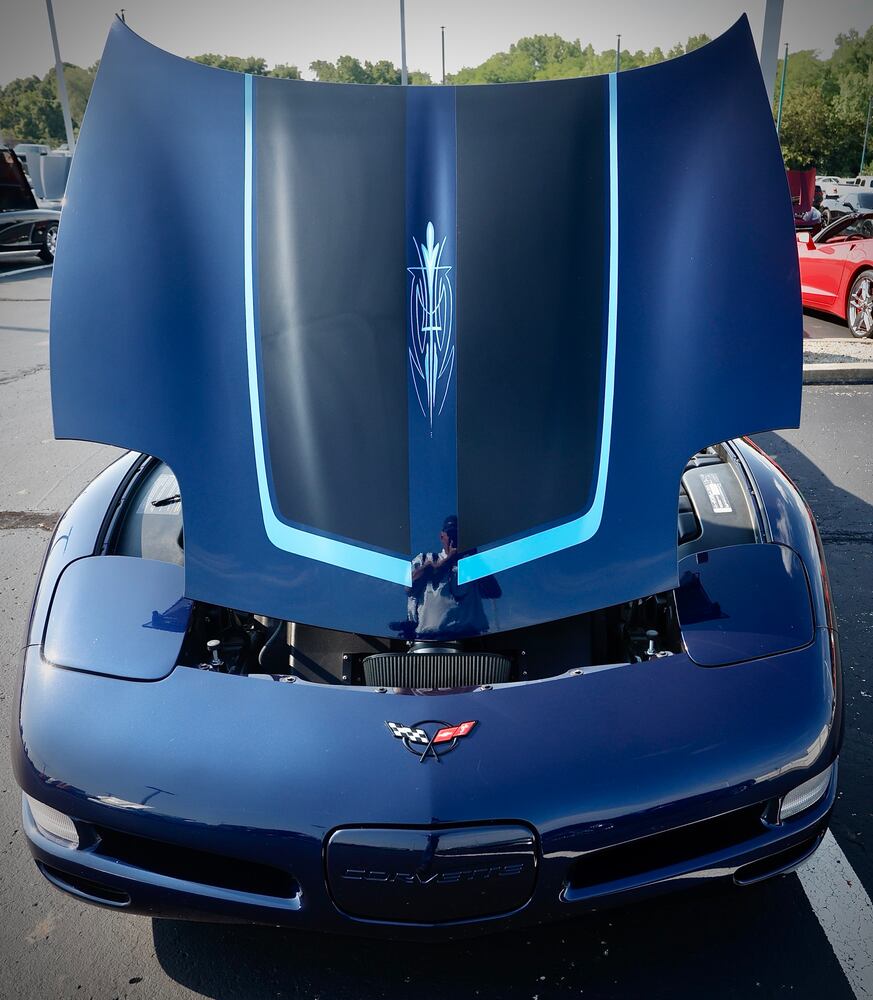 Cruise in 