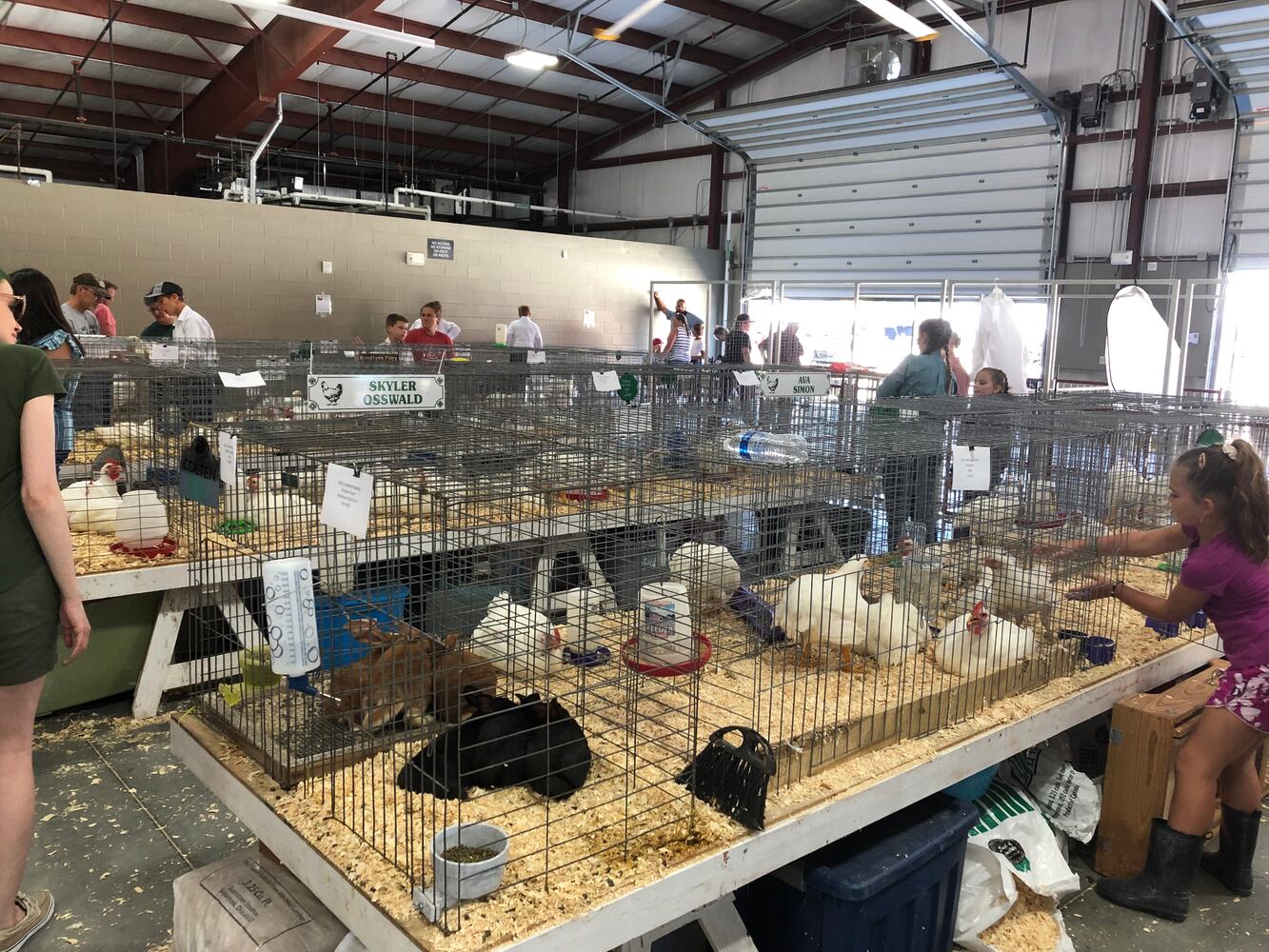 Scenes from the Montgomery County Fair