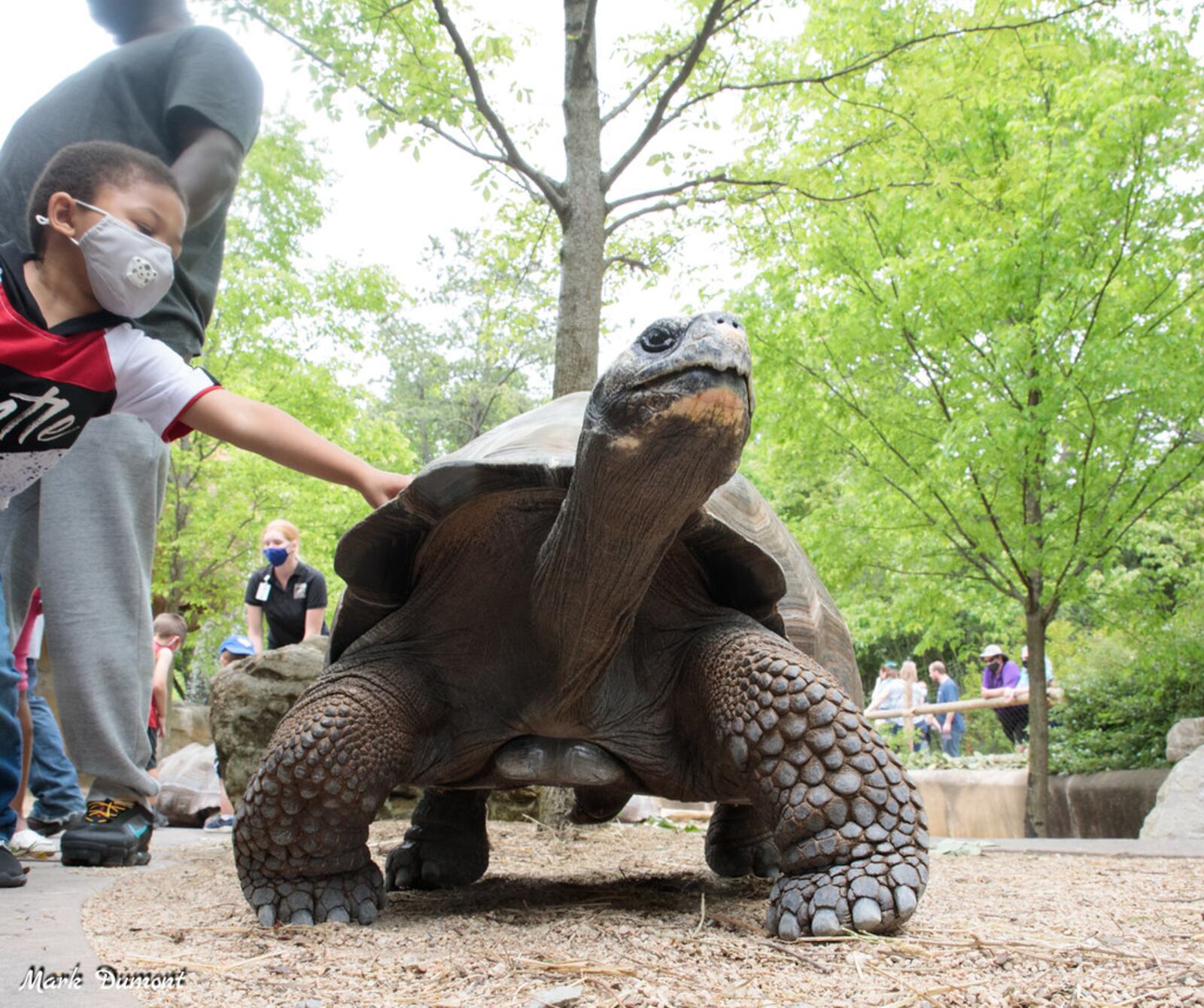 Get vaccinated for COVID-19 at the Cincinnati Zoo & Botanical Center   June 15 and admission is free. CINCINNATI ZOO & BOTANICAL CENTER