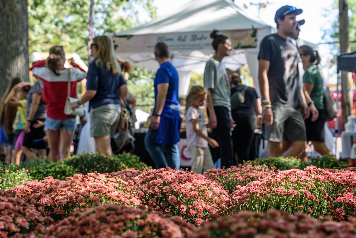 PHOTOS: 2025 Tipp City Mum Festival & Parade