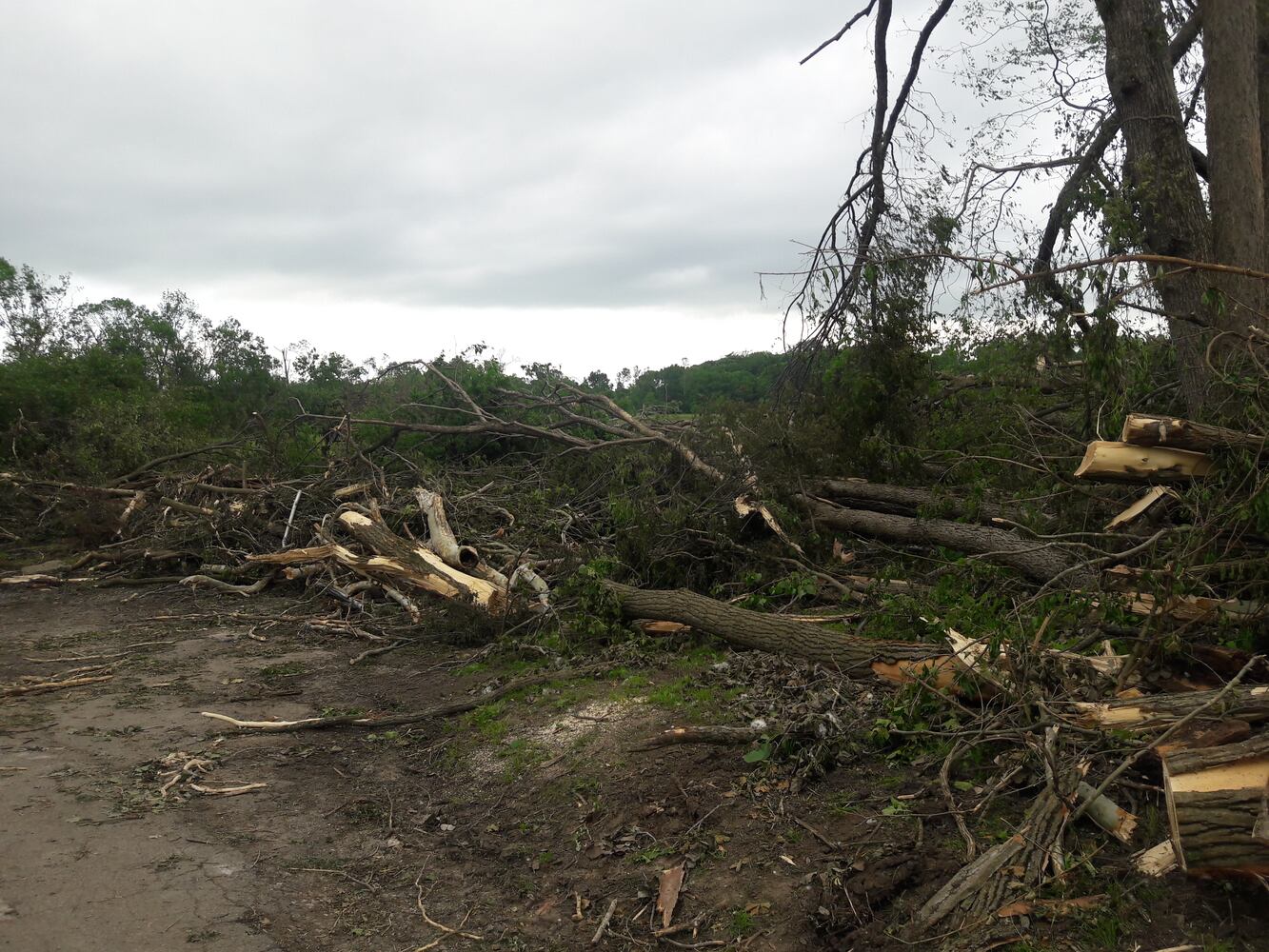 Photos: ‘extraordinary’ damage to parts of  Wegerzyn MetroPark, some parts mostly untouched