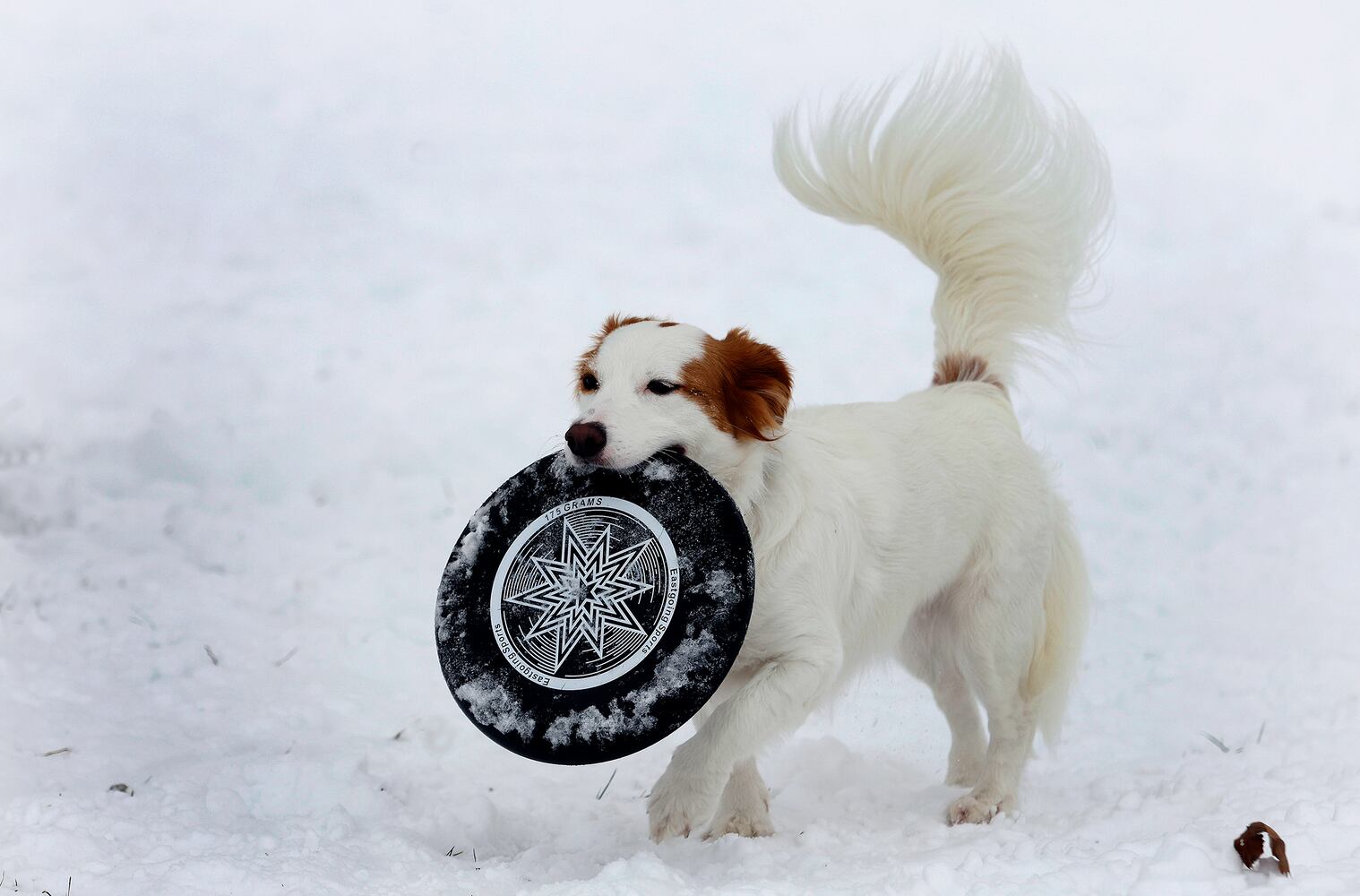 SLEDDING FUN