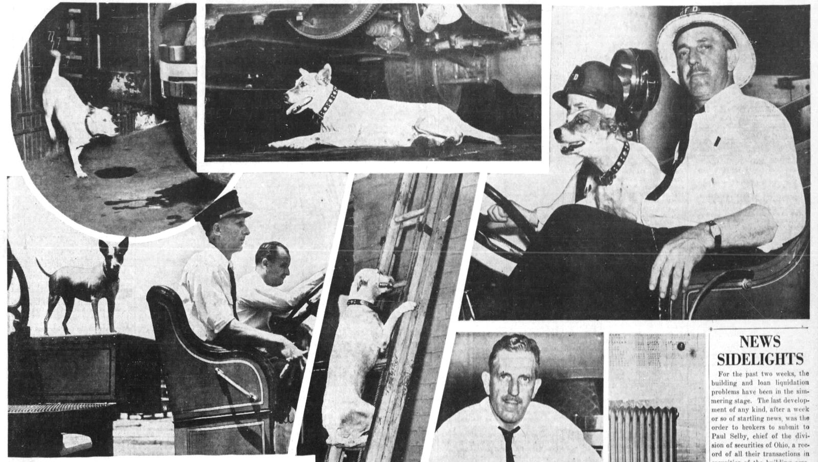 July 2, 1939: "Smokey," boss and mascot of Dayton fire station credited with saving seven lives. DAYTON DAILY NEWS ARCHIVES