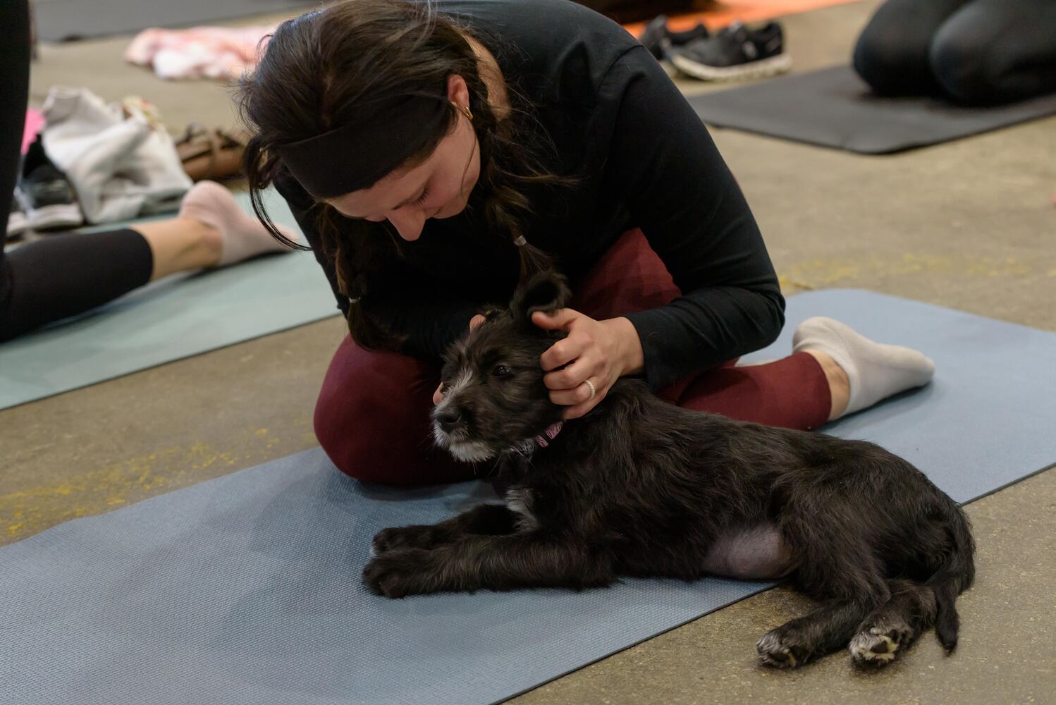 PHOTOS: Puppy Yoga with Adopt a Pit at Base Camp Outdoors Co. in downtown Dayton