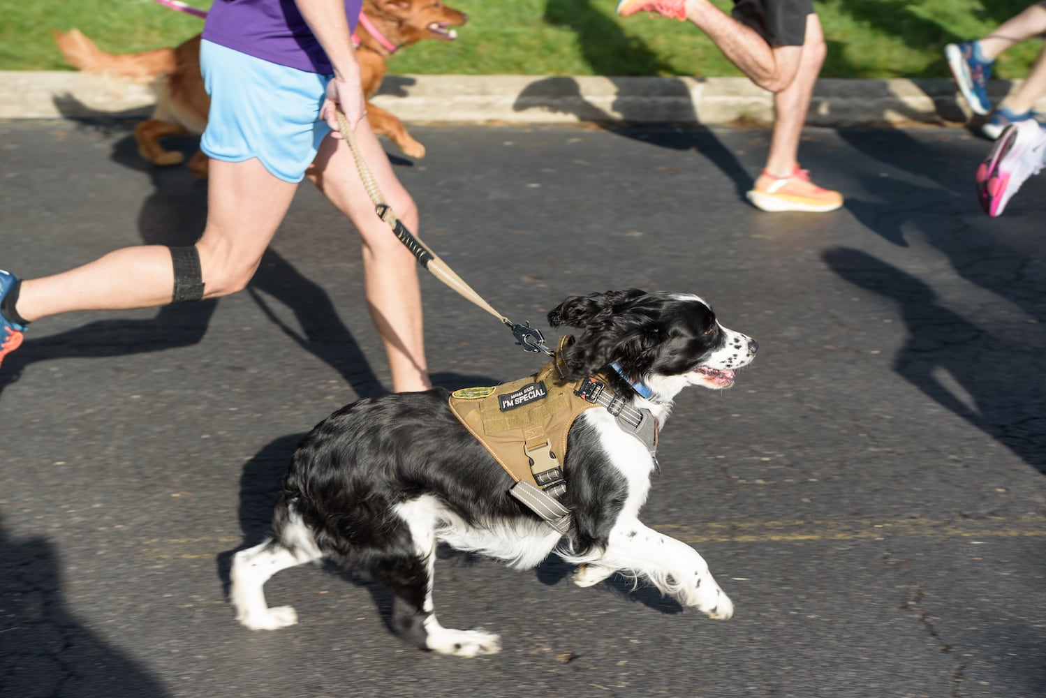 PHOTOS: 2025 Furry Skurry 5K at St. Leonard CHI Living Communities