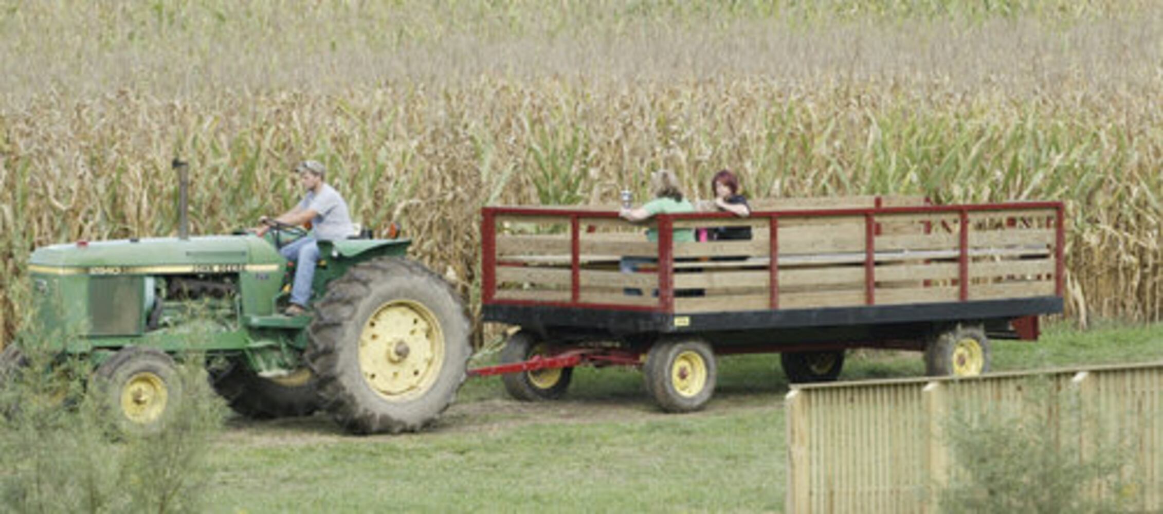 Adventure Acres Corn Maze