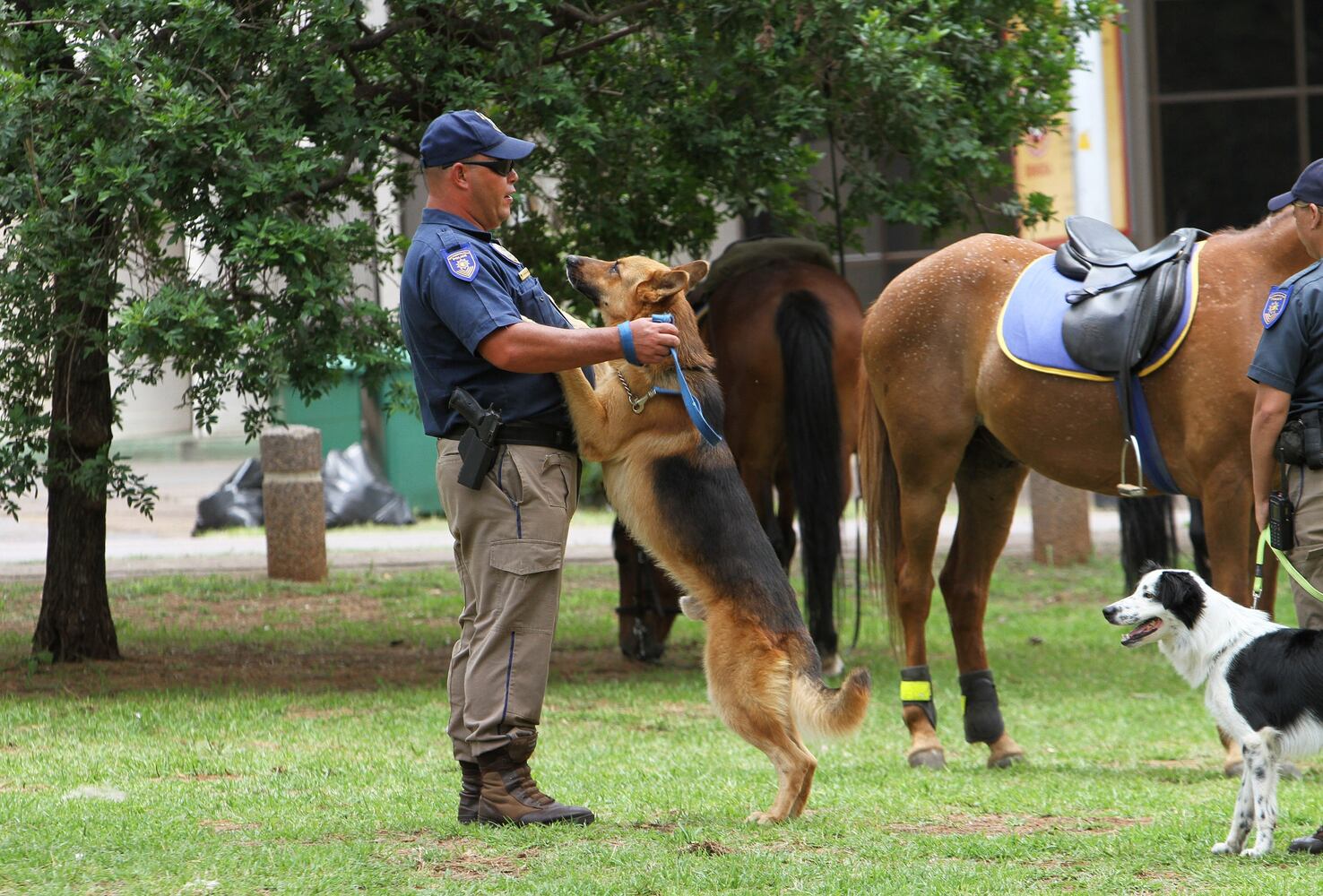 News hounds (12/12/2013)