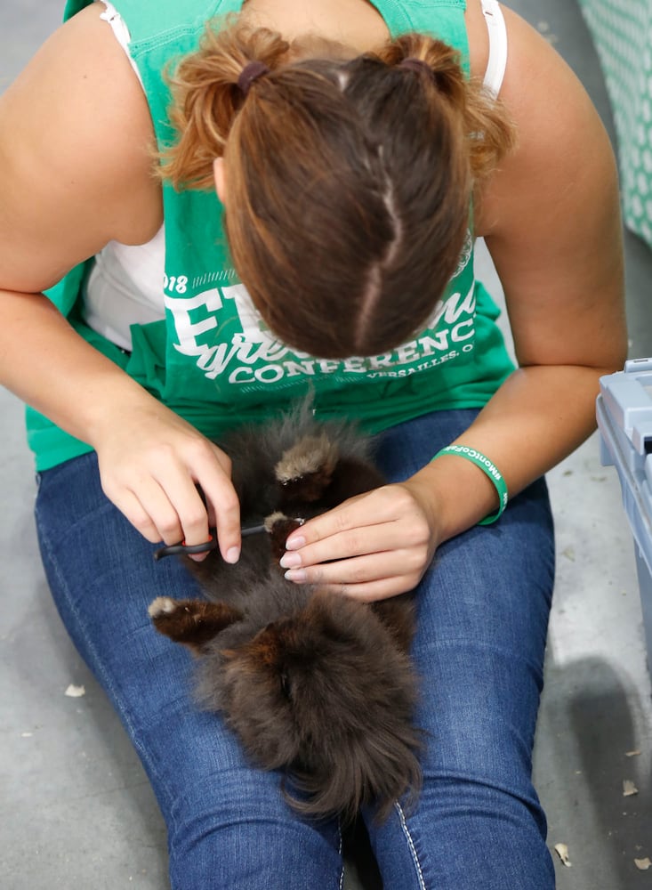 PHOTOS: First-day fun at the Montgomery County Fair