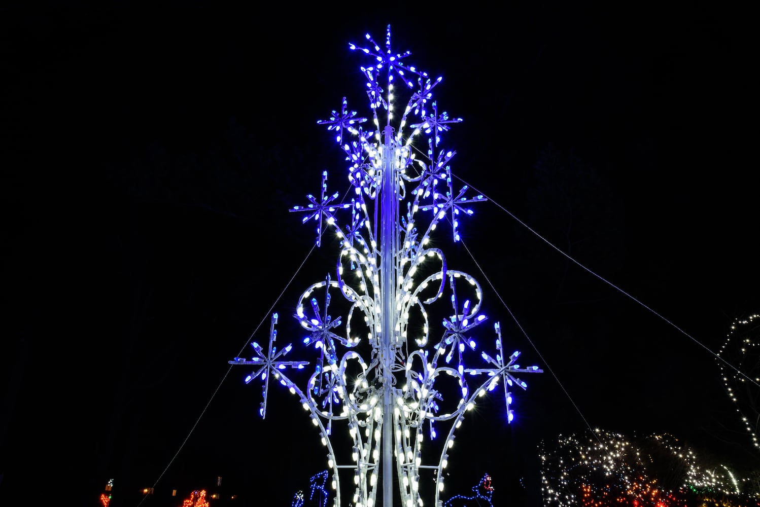 PHOTOS: A walk through Woodland Lights in Washington Township