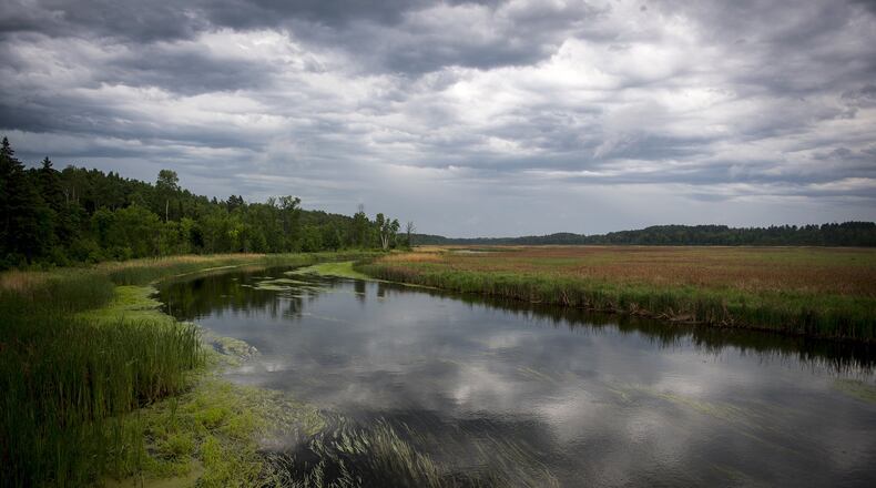 The upper Mississippi River between its headwaters in Itasca State Park and Bemidji in June 2016. (Aaron Lavinsky/Minneapolis Star Tribune/TNS)