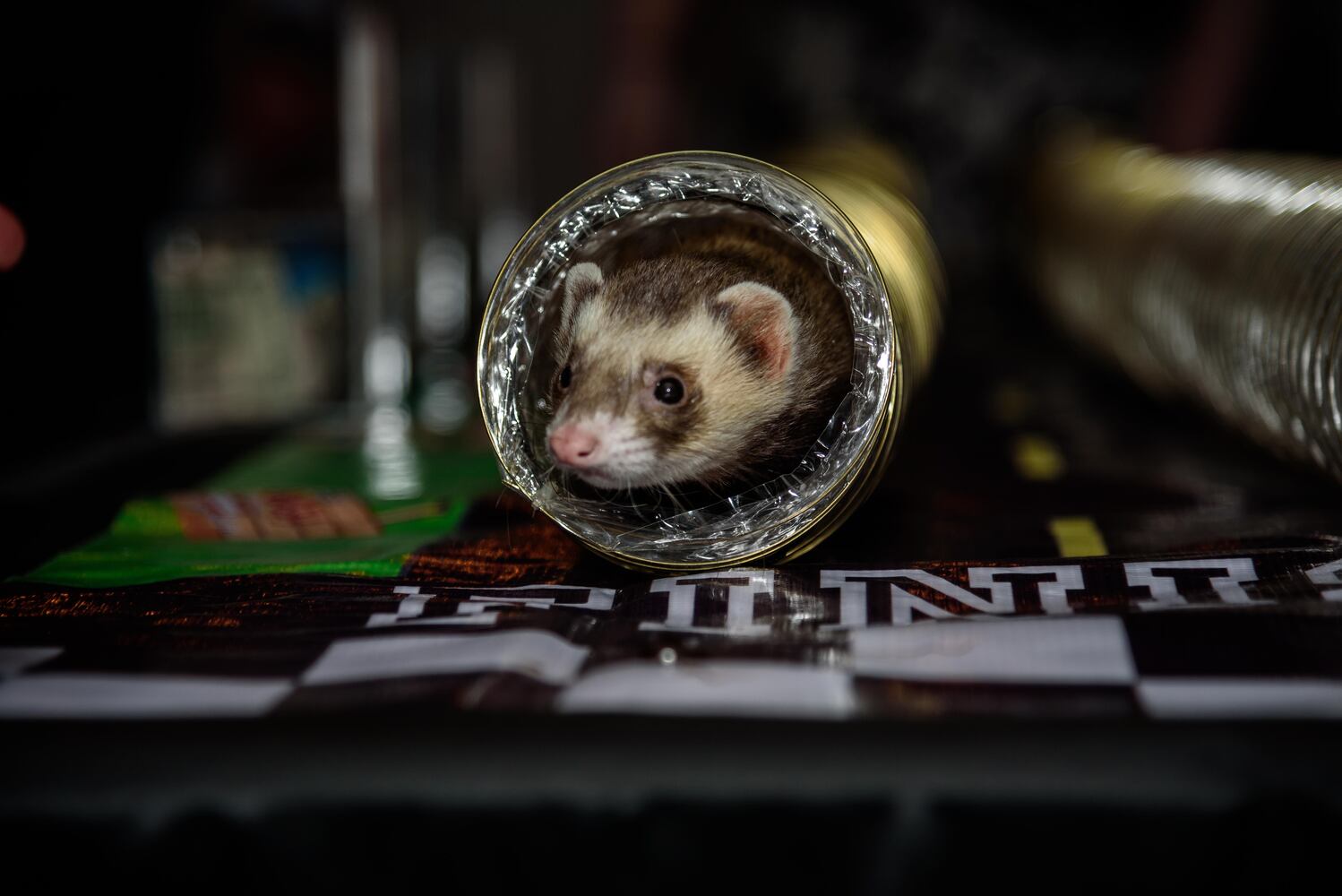 PHOTOS: EUREKA! A science experiment for grown-ups