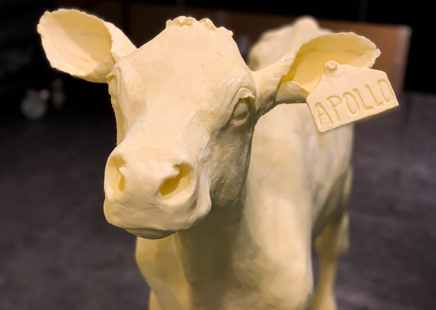 PHOTOS: Historic moon landing re-created in butter