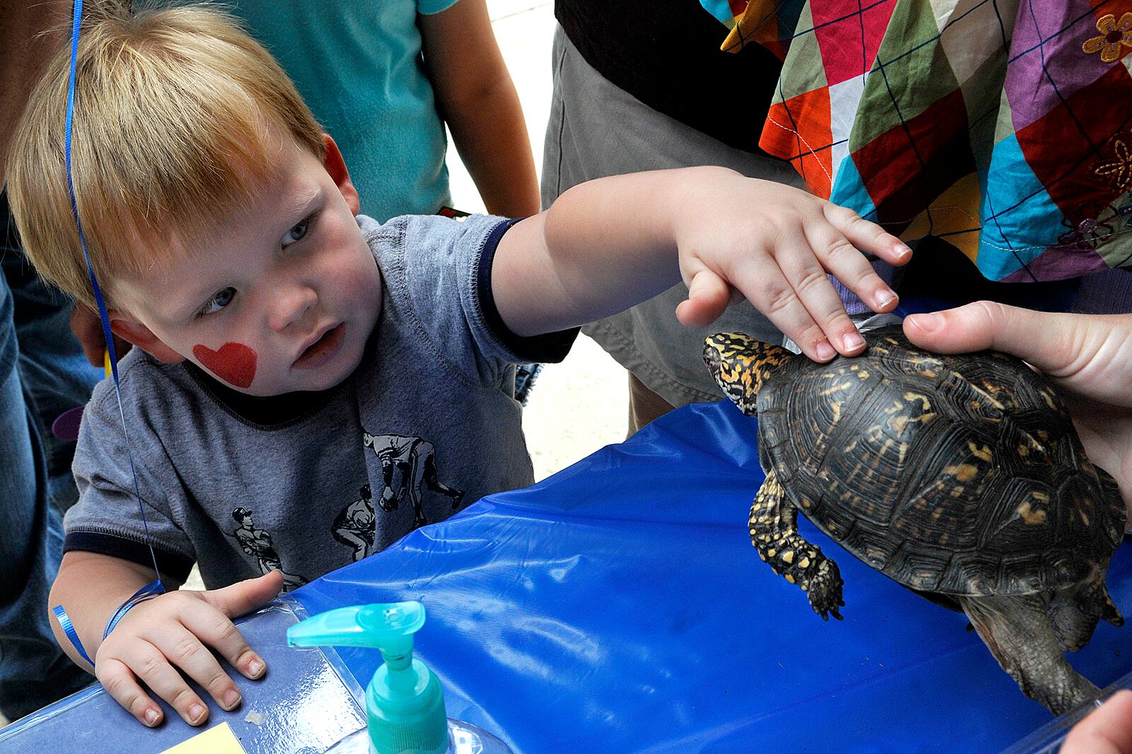 Jackson Aleshire, 2, reaches out to pet "Malcolm," an Eastern box turtle, on display with the Boonshoft Museum of Discovery Animals at the Summer Sky festival Saturday, Aug. 22. Staff photo by Marshall Gorby