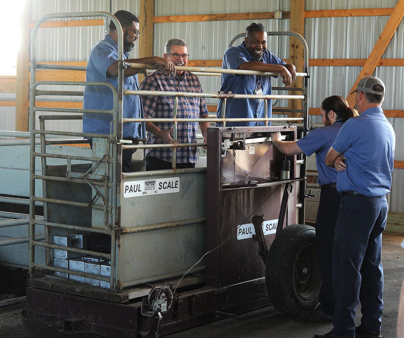Montgomery County Auditor Karl Keith, center, with two of his staff Brandon Ladson, left and Joseph Harris stand on the cattle scale to add weight so that it can be calibrated. The Auditor's office checks all six scales before the start of the fair each year.  MARSHALL GORBY\STAFF 