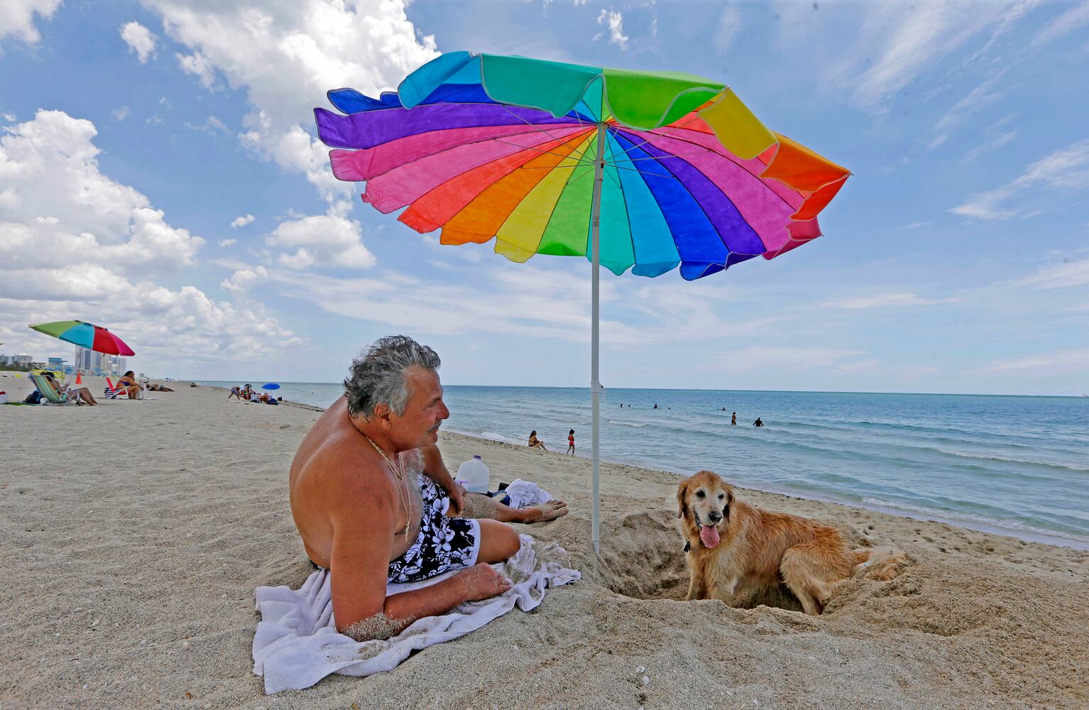 News hounds (7/16/15)