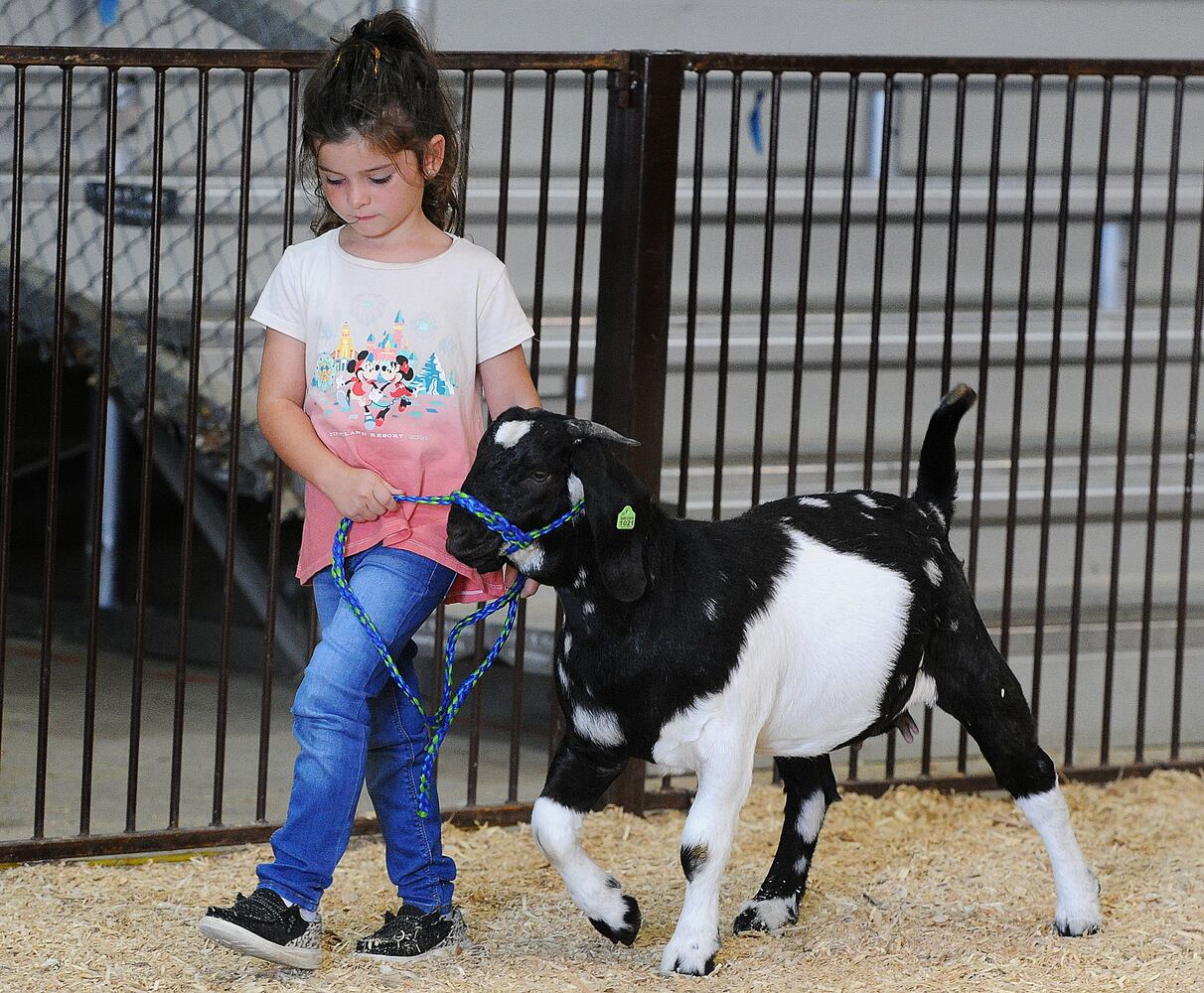GREENE COUNTY FAIR