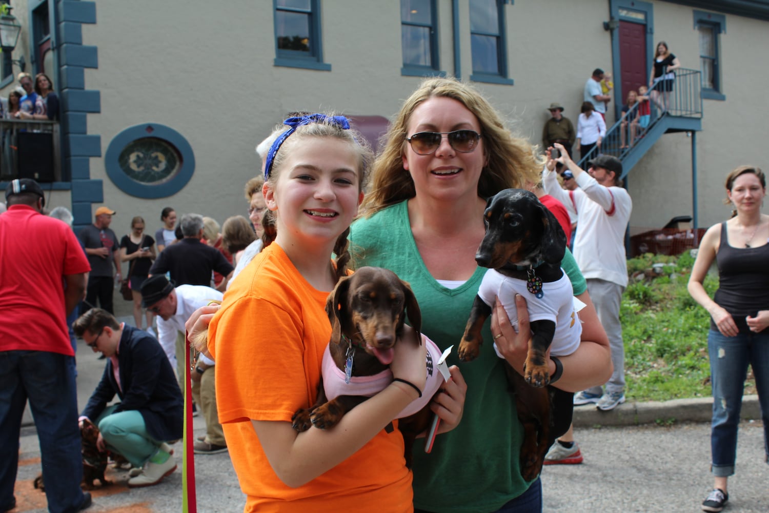 Dayton's wiener dog race of May 7, 2016