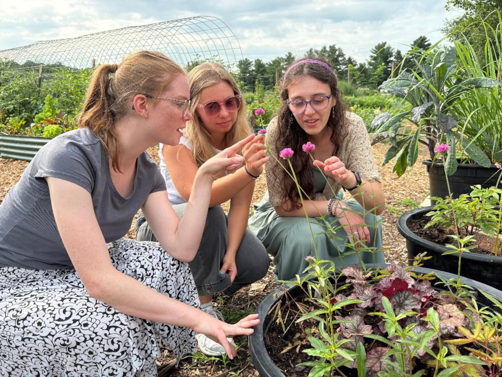 Left to right: University of Dayton students Hannah Scheuller, Grace Haas and Shannon Dennemann examine a Sensitive Plant at Possum Creek MetroPark. Photo by Russell Florence Jr.