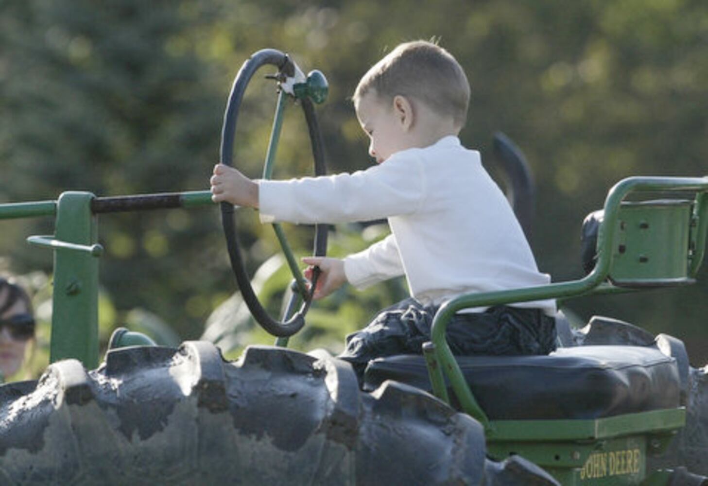 Adventure Acres Corn Maze
