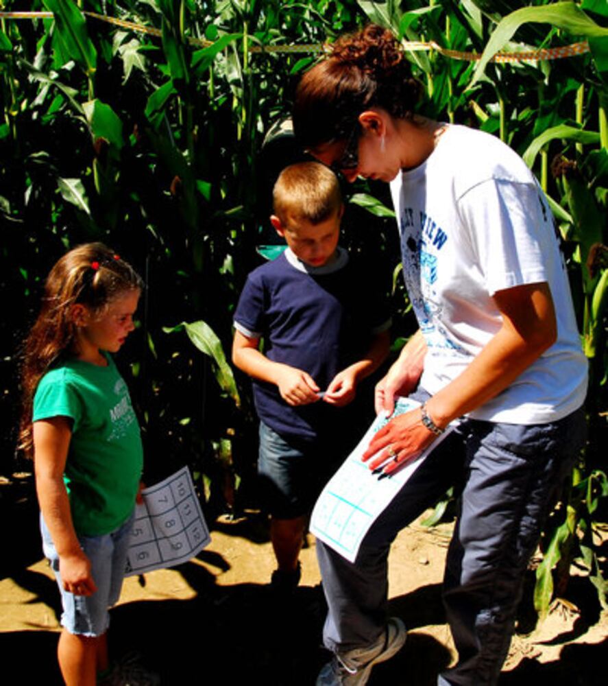 Tom's Maze corn maze opens