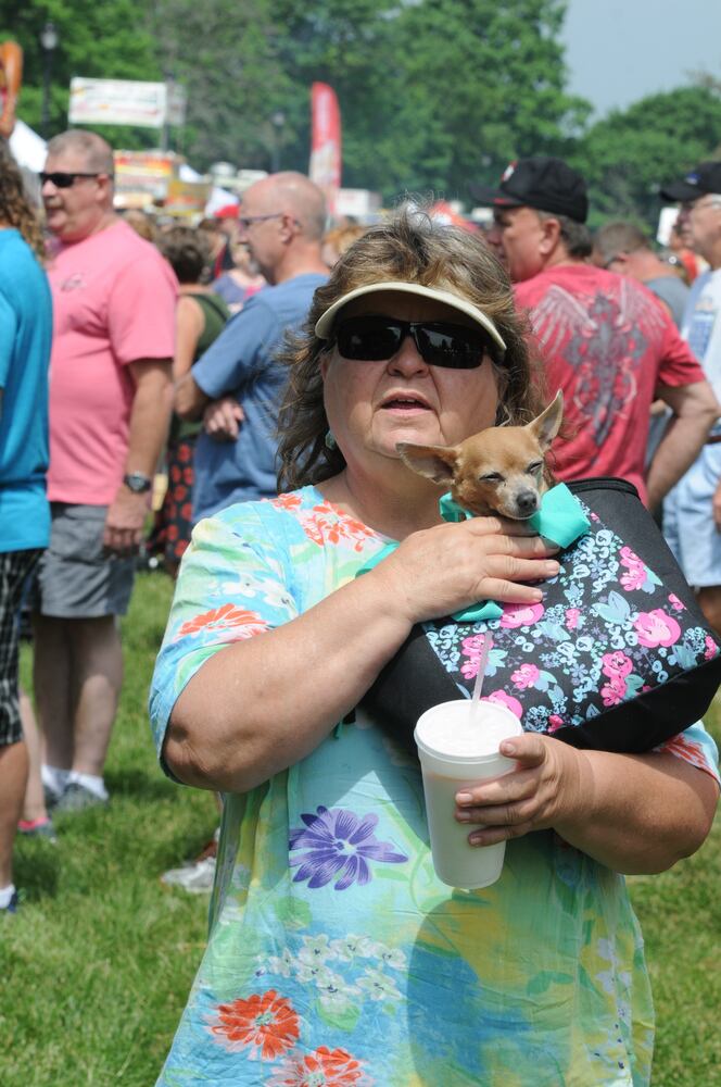 PHOTOS: Did we spot you having a BERRY good time at the Troy Strawberry Festival?