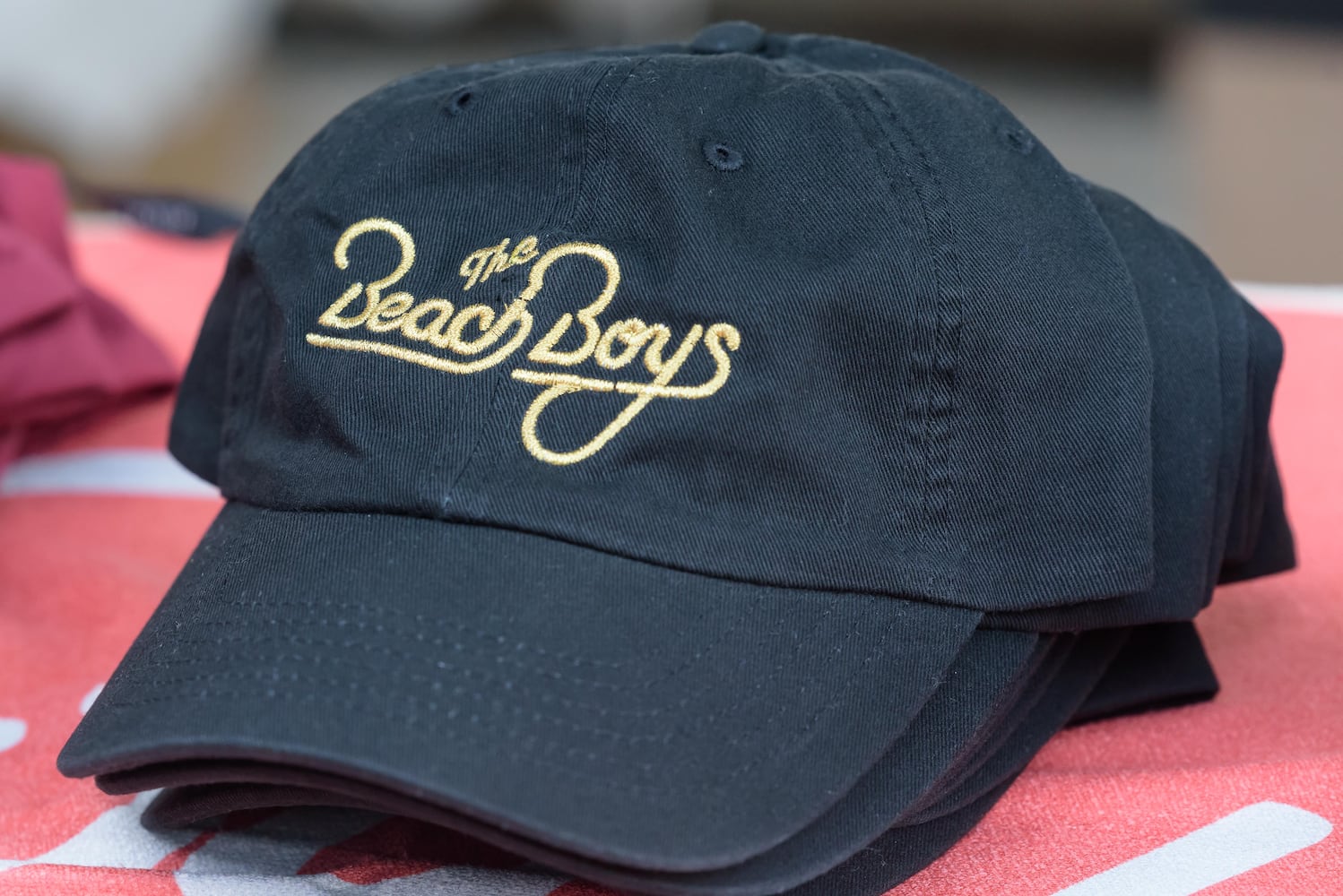 PHOTOS: The Beach Boys perform at Fraze Pavilion