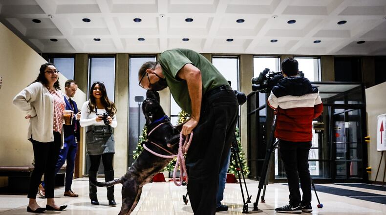 Steve Glardon, from the Animal Resource Center gets kisses from Hippo an adopted dog at the Montgomery County administrative building Friday December 1, 2023. Montgomery County kicked-off dog license season with a press conference from Montgomery County Auditor Karl Keith. JIM NOELKER/STAFF