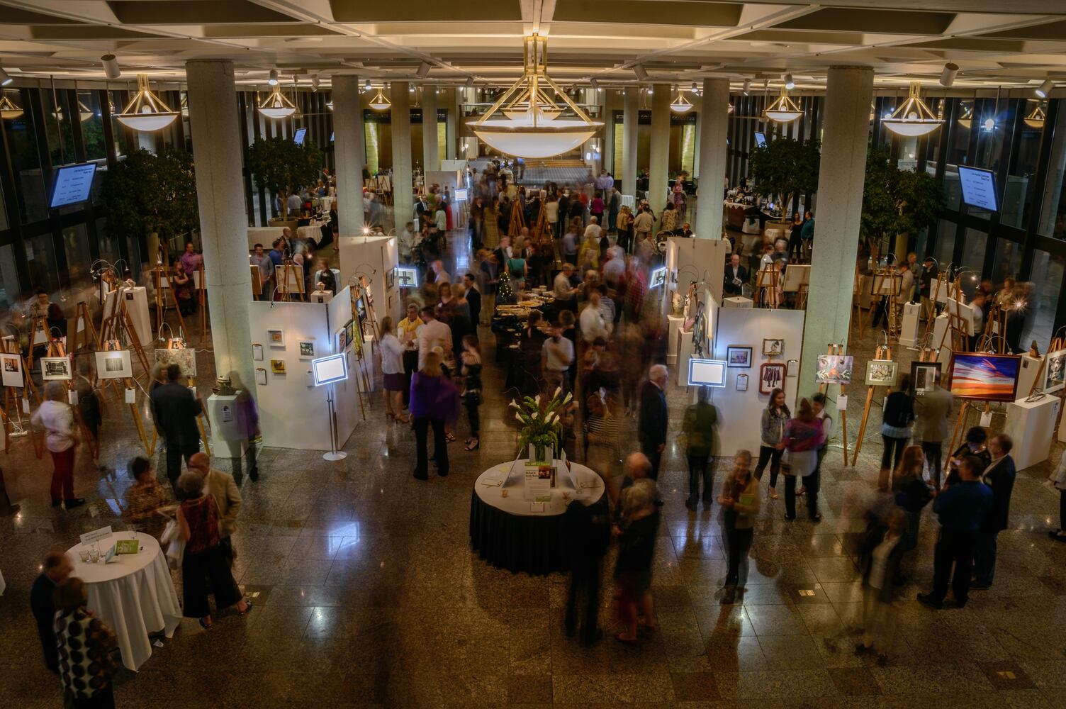 PHOTOS: DVAC Art Auction 2017