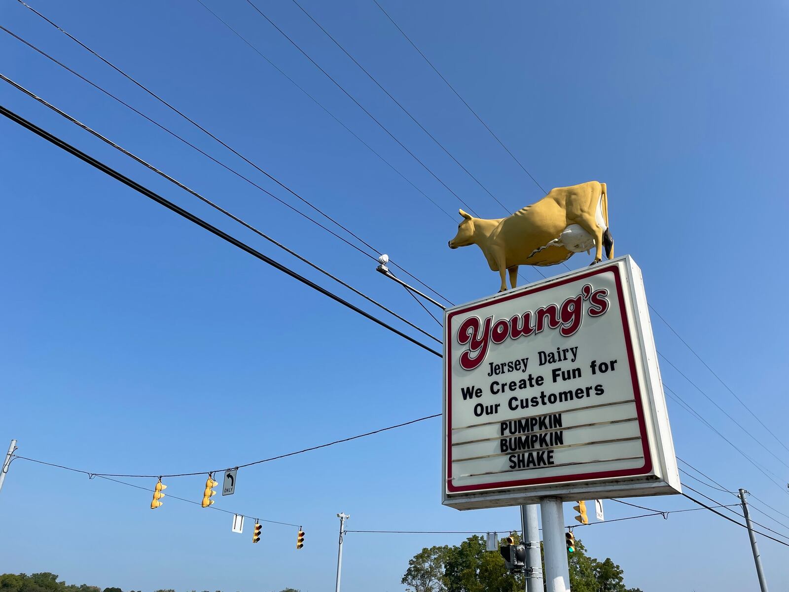 Young’s Jersey Dairy in Yellow Springs