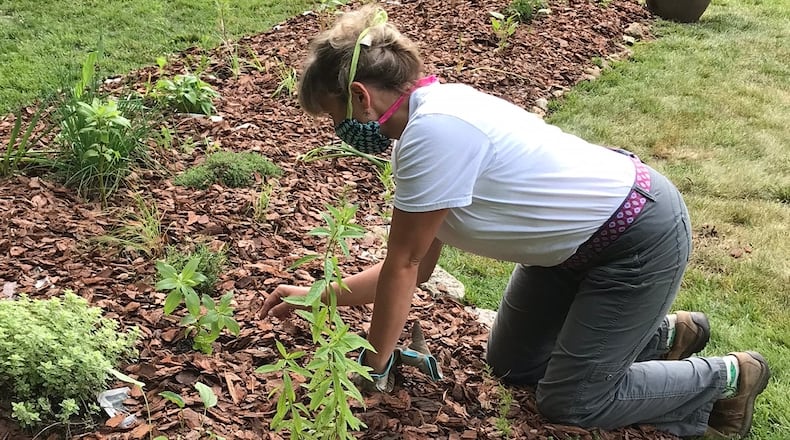 Kara Maynard of Deeply Rooted Landscapes works on a native garden installation project. CONTRIBUTED