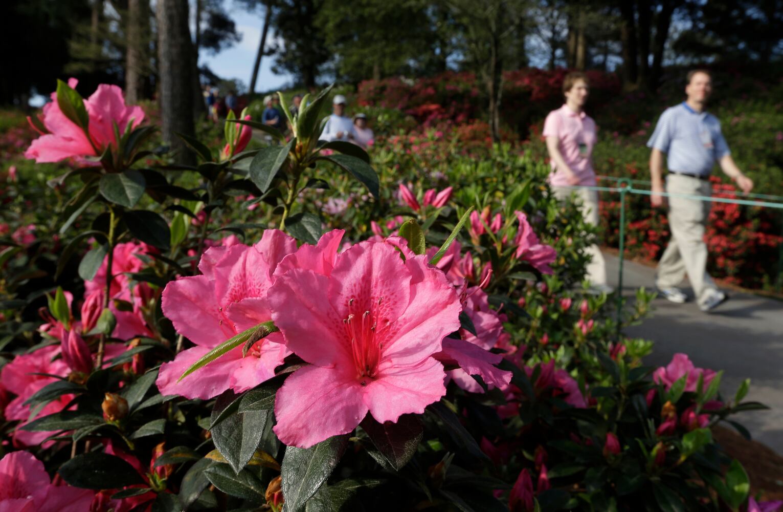 The scene at Augusta National April 8