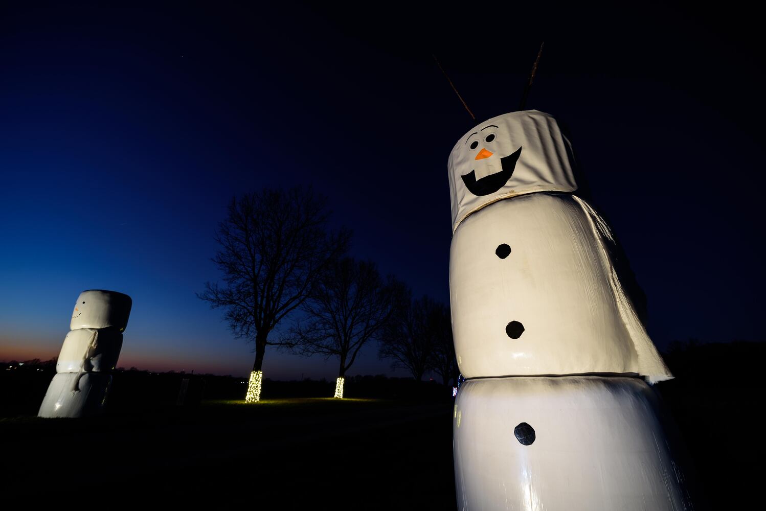 PHOTOS: Holiday Lights dazzle at Lost Creek Reserve in Troy