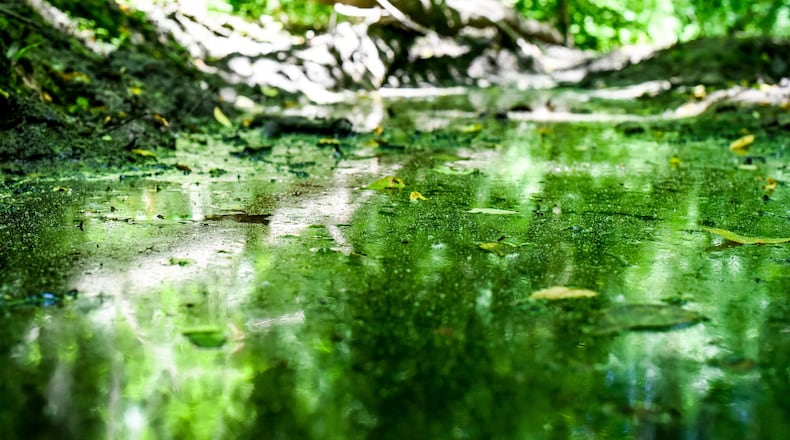 The Butler County Health Department was one of several health departments around the state to get funding from Ohio EPA to be used for mosquito control. NICK GRAHAM/STAFF