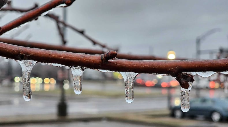 Ice on a Middletown tree Feb. 6, 2025. NICK GRAHAM, STAFF