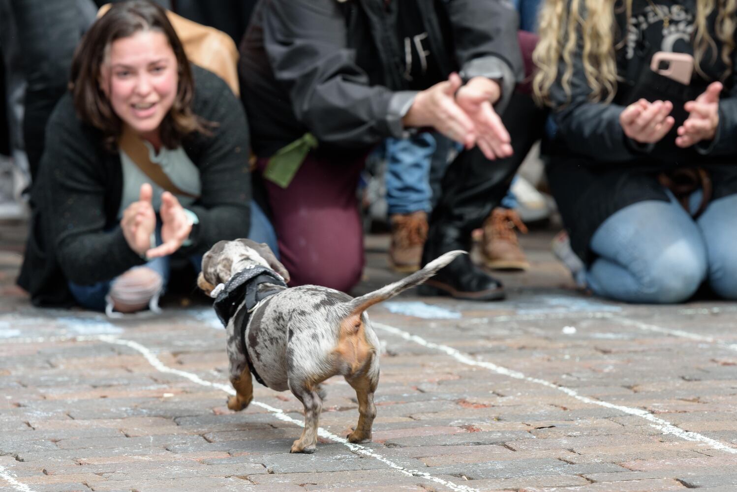 PHOTOS: Did we spot you at the Derby Day Wiener Dog Race in The Oregon District?