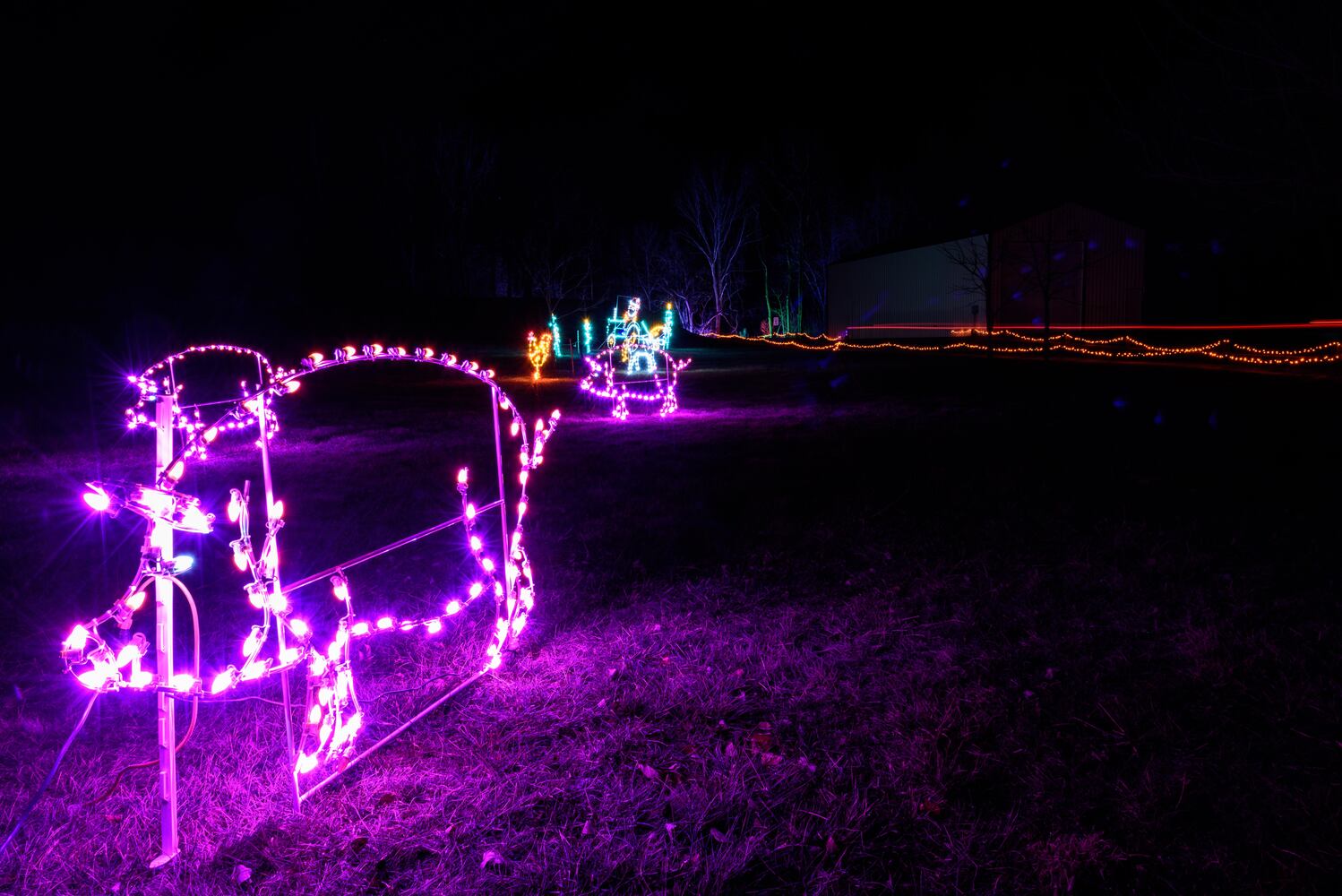 PHOTOS: ParkLights at Caesar Ford Park
