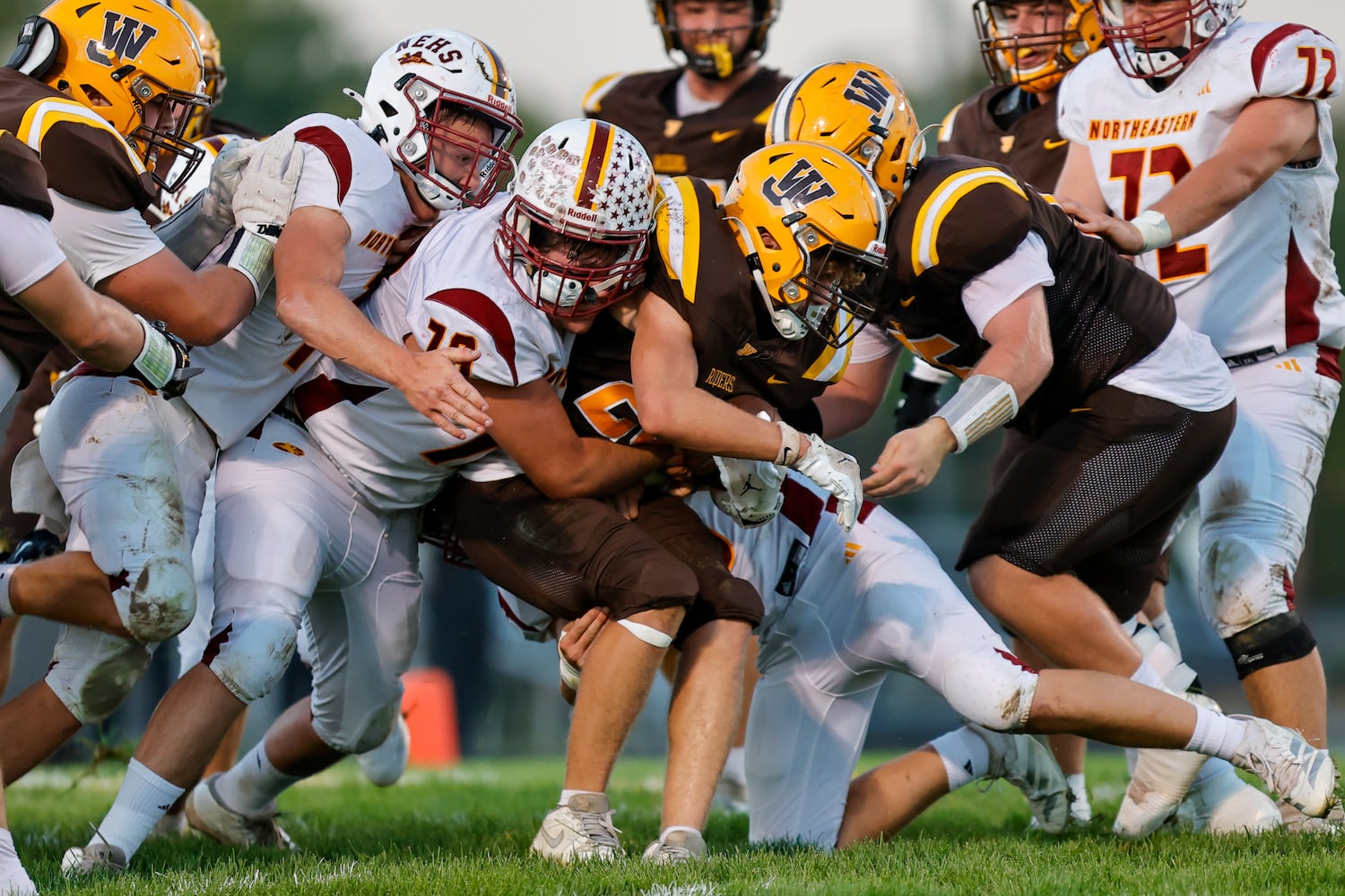 nefb hsfb