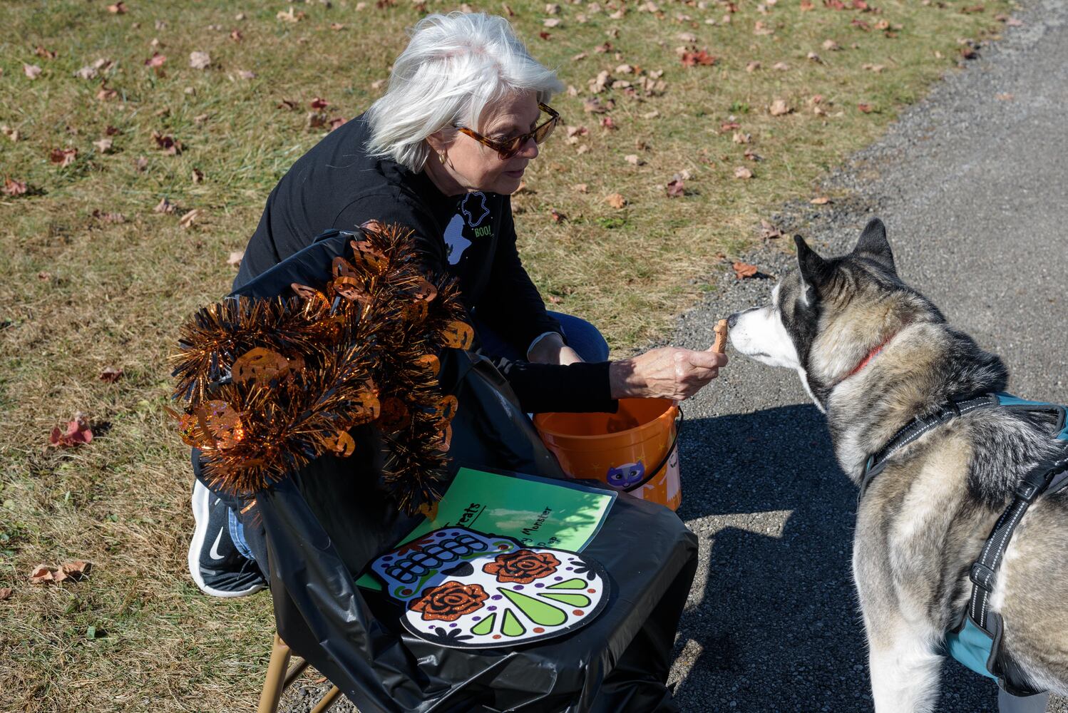 PHOTOS: Did we spot you and your dog at Wag-O-Ween at the Kettering Recreation Center?