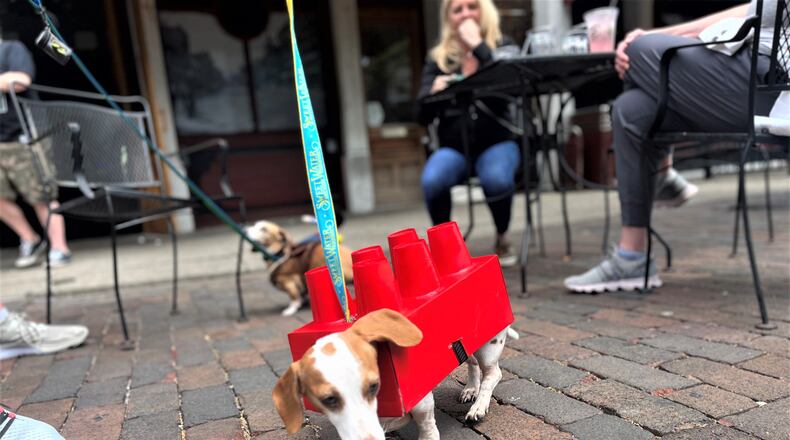 Oregon District visitors enjoy alcoholic drinks in the Designated Outdoor Refreshment Area (DORA) on East Fifth Street in the Oregon District ahead of the 4th Annual Derby Day Weiner Dog Race on May 6, 2023. CORNELIUS FROLIK / STAFF