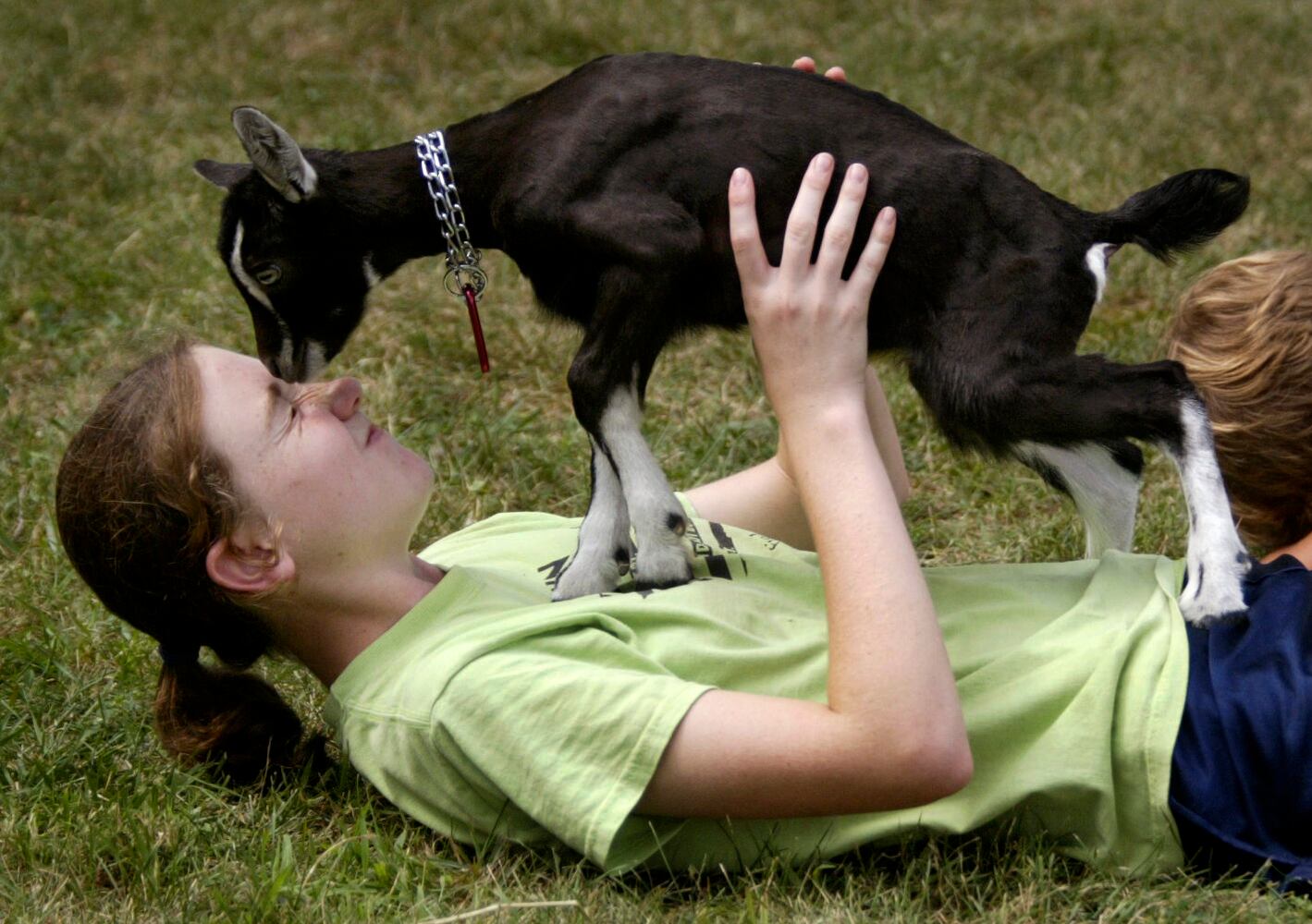Llamas, goats and kids: 9 wacky images from the Warren County Fair
