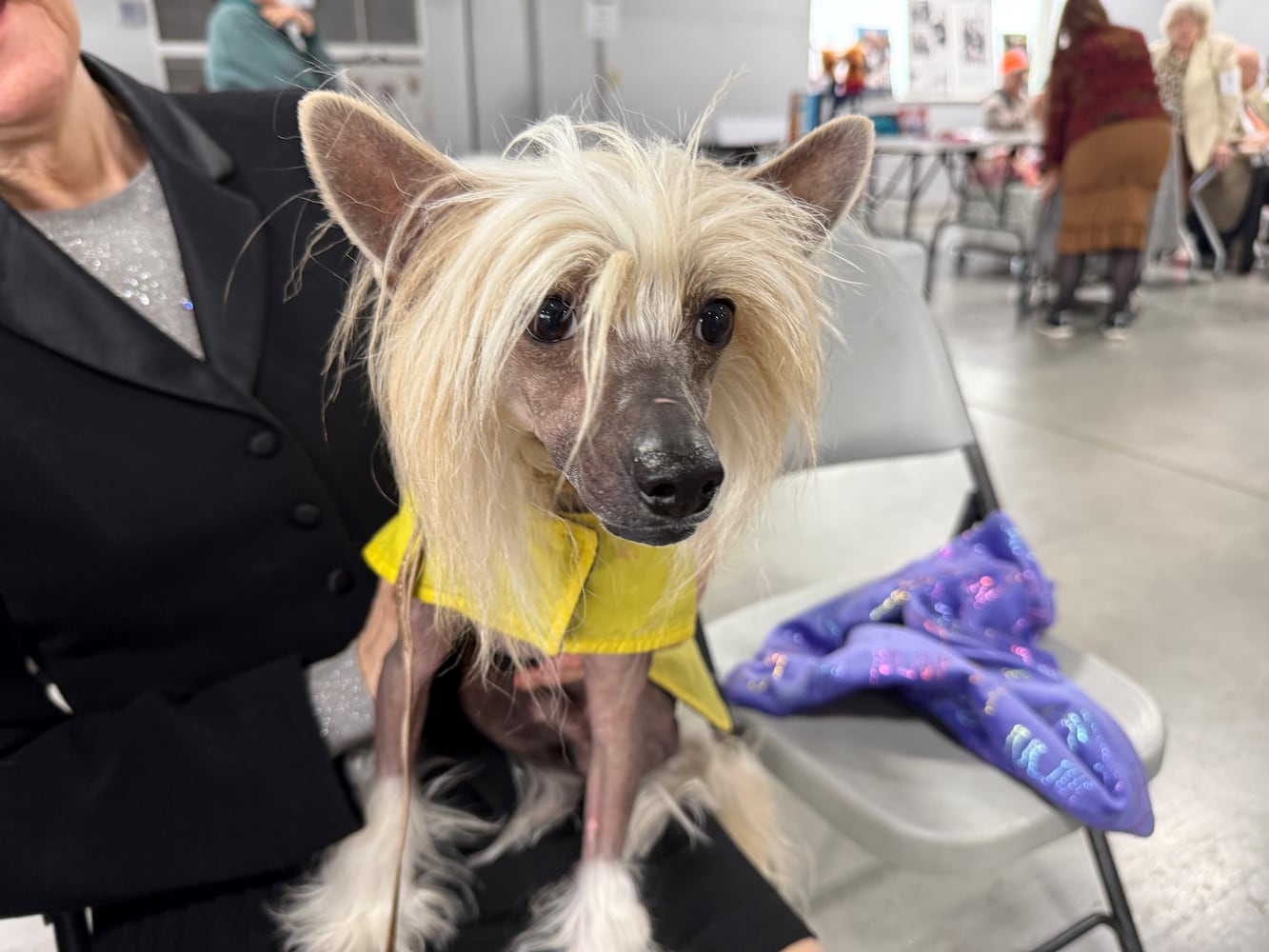 Fort St. Clair Kennel Club Dog Show