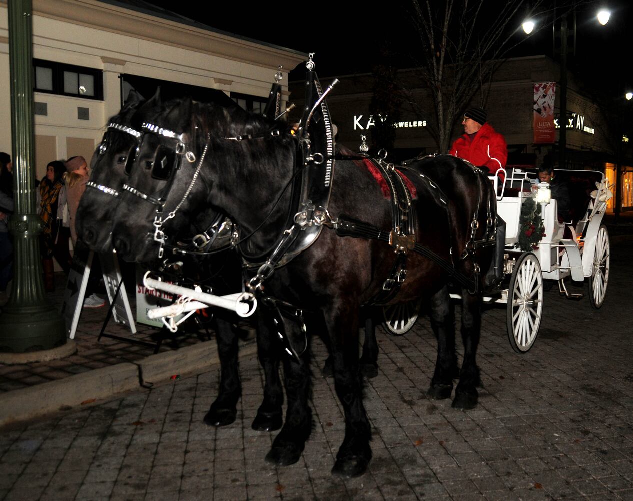 PHOTOS: Did we spot you at The Greene’s Christmas tree lighting?