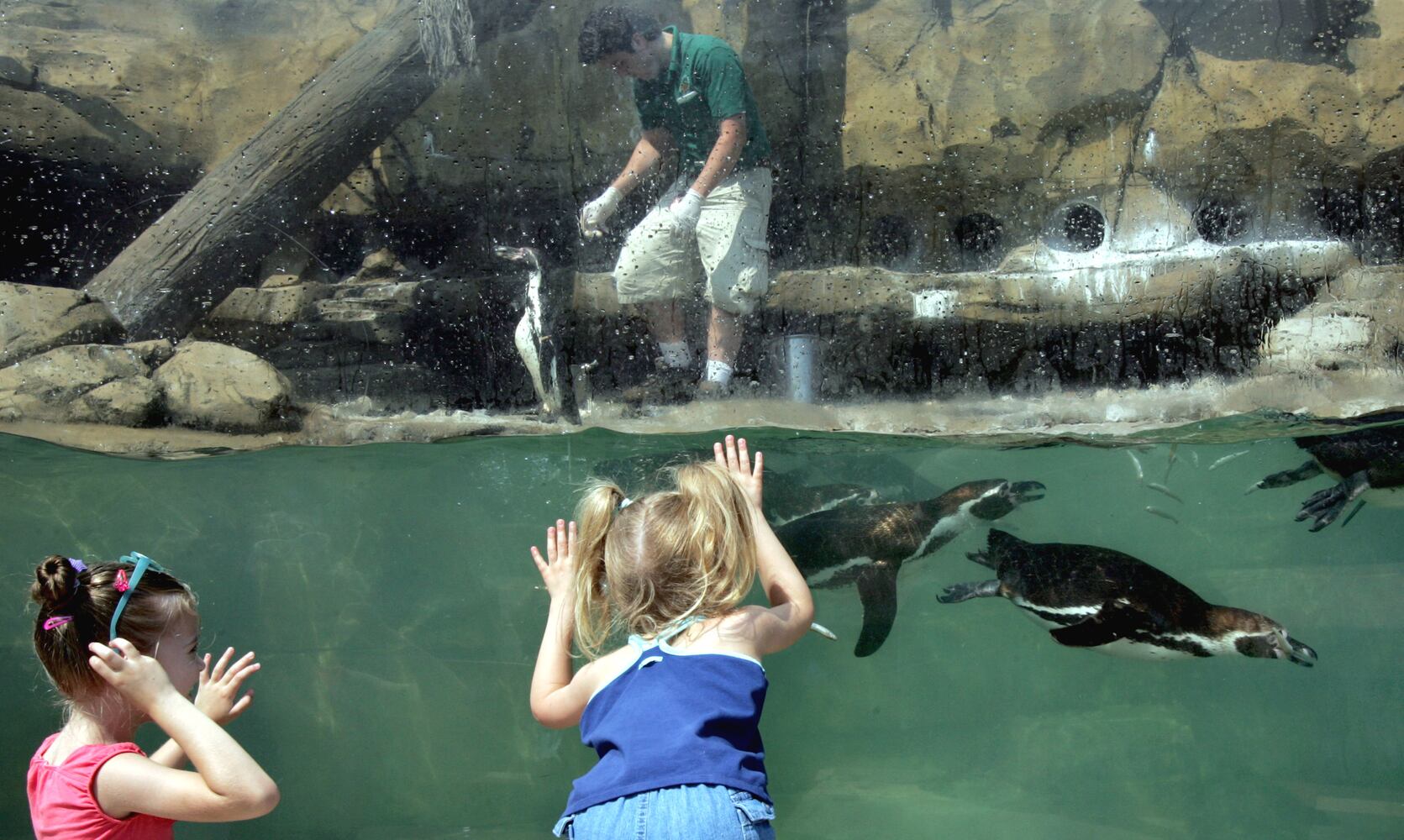 Photos: 25 awesome spots for summer fun in Ohio