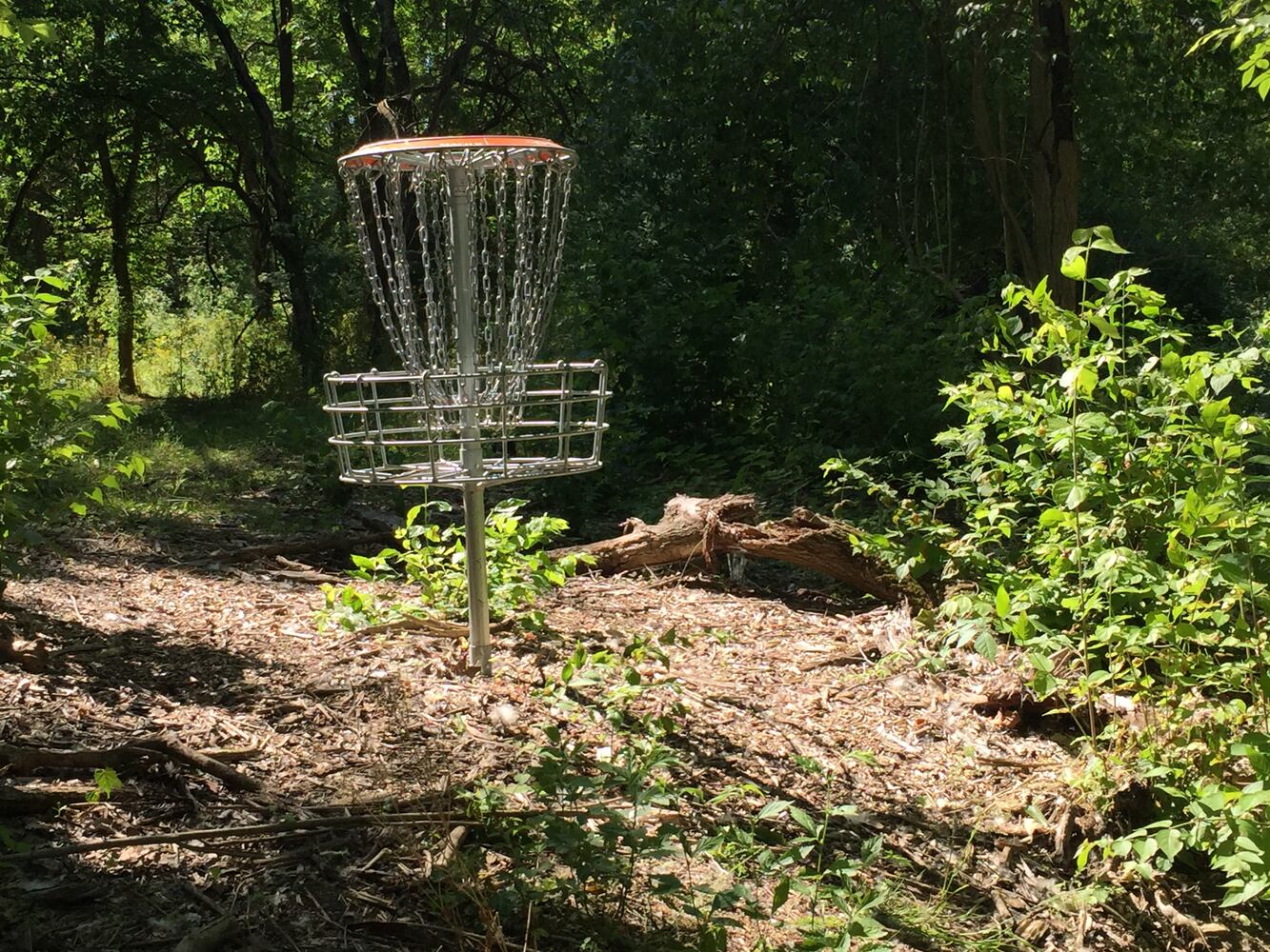 Upgrades for Xenia's Sol Arnovitz Park